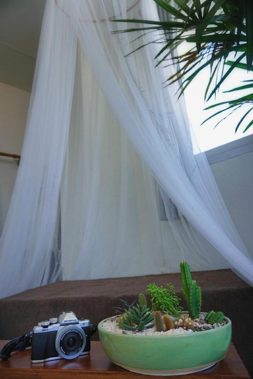 Bed and Breakfast Mountscene At Cervidae Chiang Mai Exterior foto